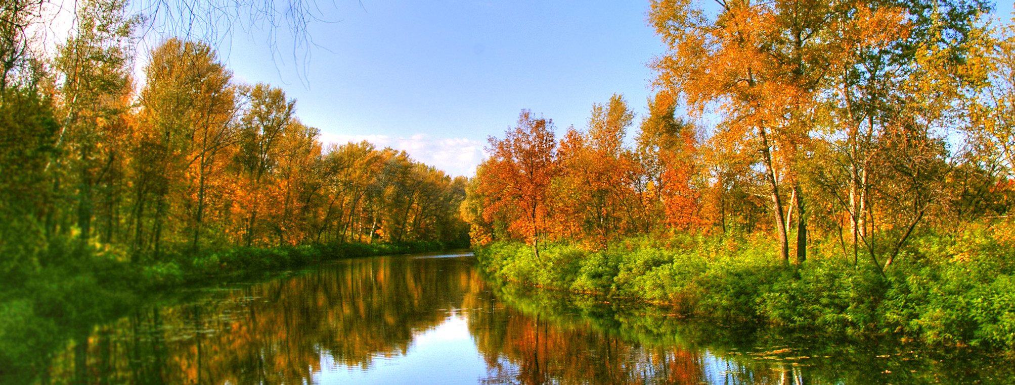 Fir Tree Park Apartments Apartments in Shelton, WA